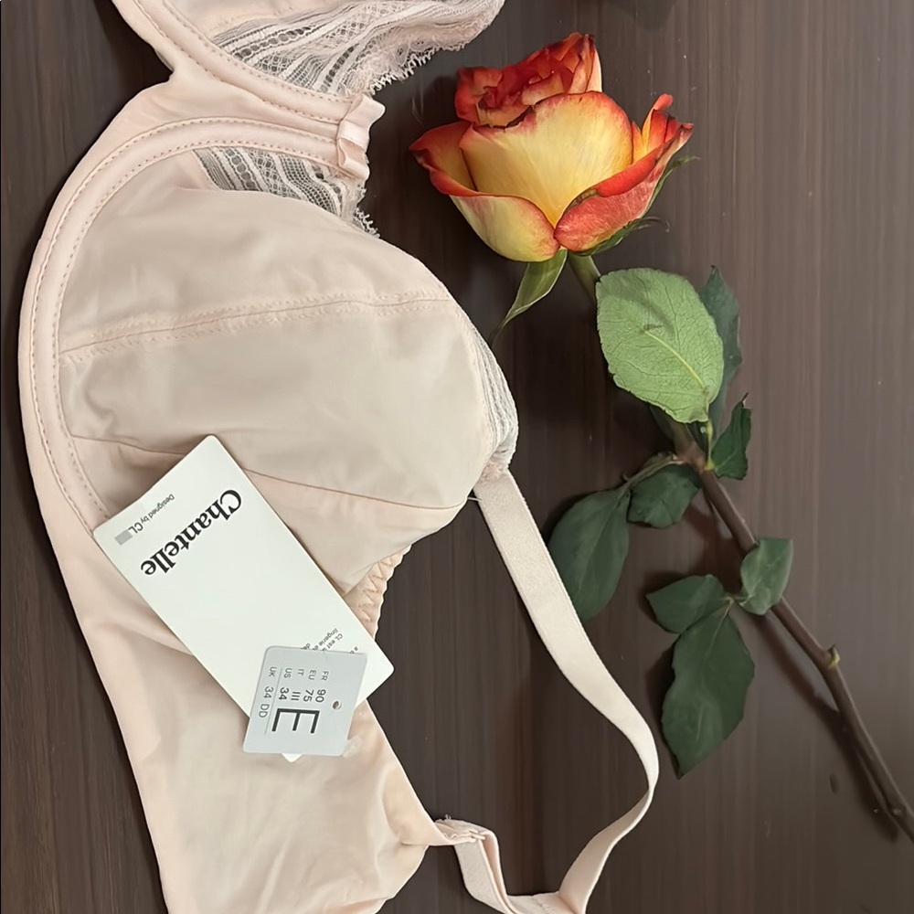 Chantelle Women's Pink Lace Bra
